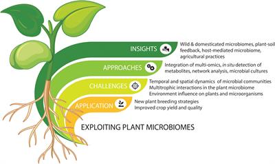 Beyond Plant Microbiome Composition: Exploiting Microbial Functions and Plant Traits via Integrated Approaches